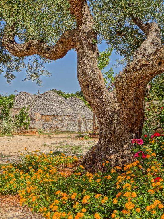 Borgo Sardedda Suites Locorotondo Quarto foto